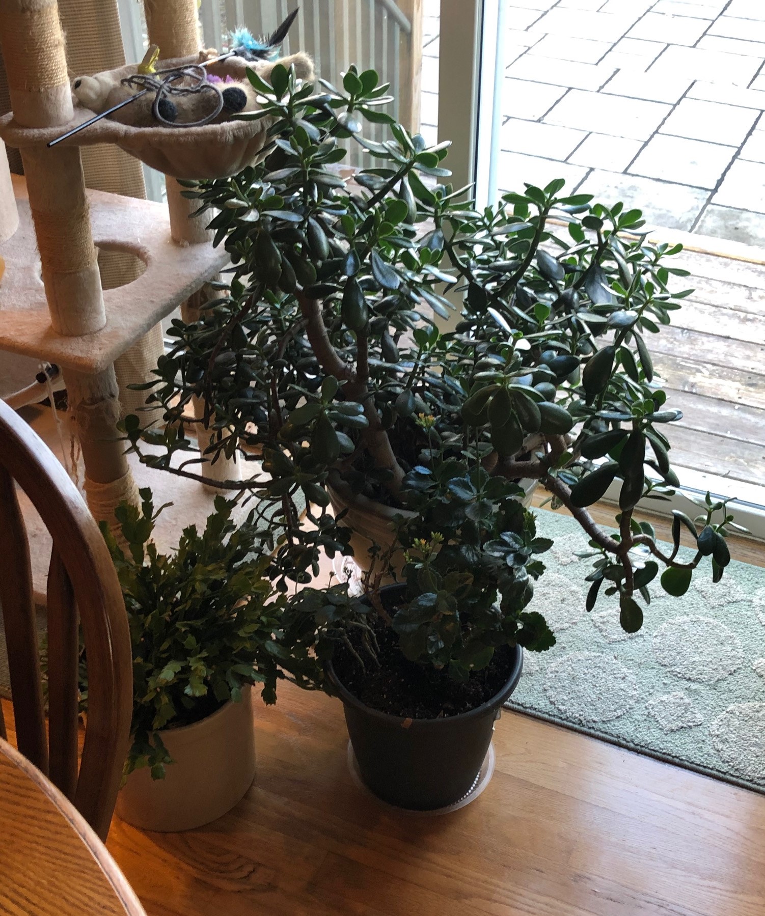 Long Island Tag Sales